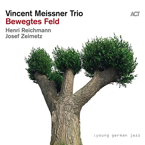 Art for Gravity by Vincent Meissner Trio