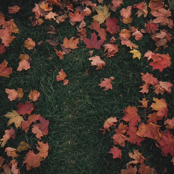 Artwork for October Passed Me By