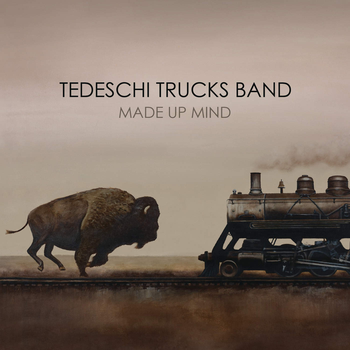 Art for Made Up Mind by Tedeschi Trucks Band