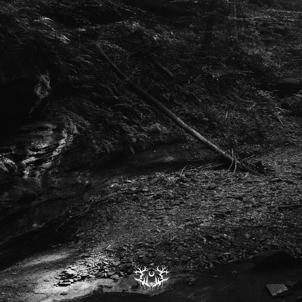 Artwork for Into the Earth
