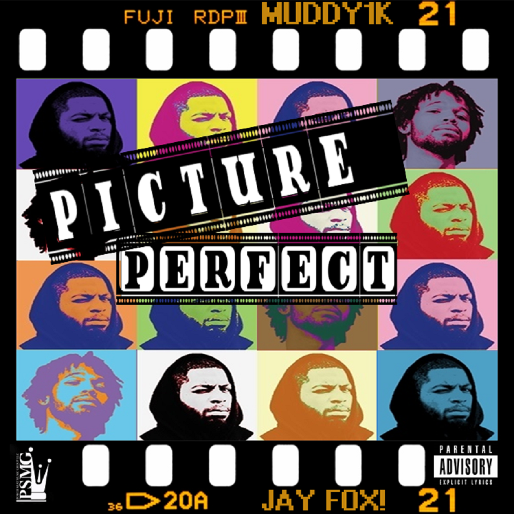 Art for Picture Perfect  by Muddy1k