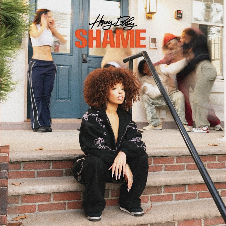 Artwork for Shame
