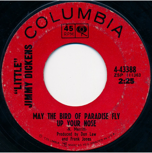 Art for May The Bird Of Paradise Fly Up Your Nose by Jimmy Dickens