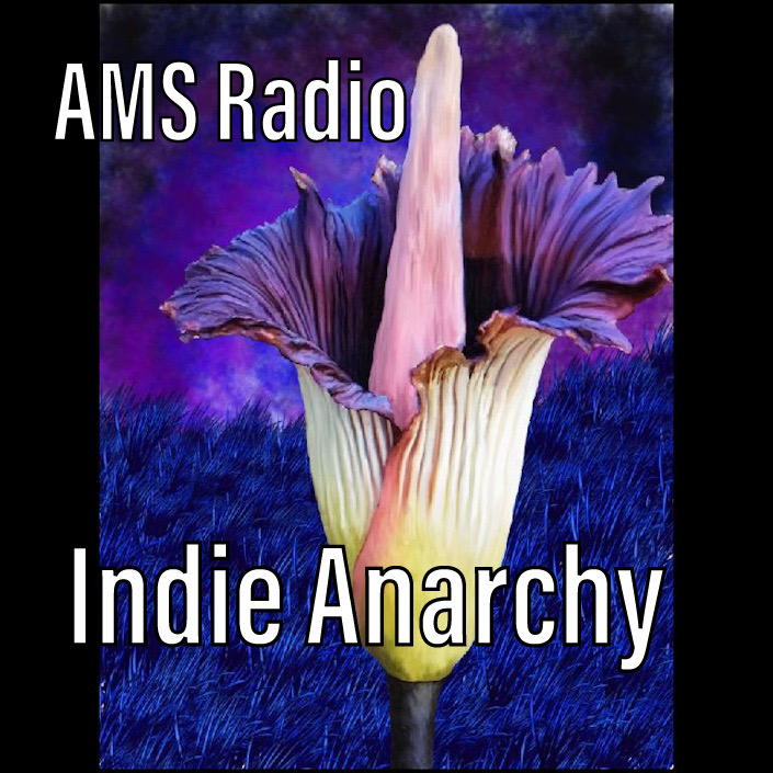 Art for You're Listening to Indie Anarchy! by Lilly Anarchy