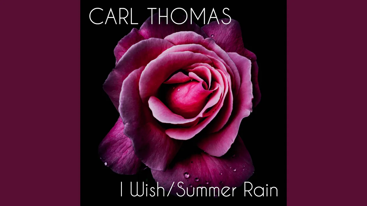 Art for I Wish (Re-Recorded) by Carl Thomas