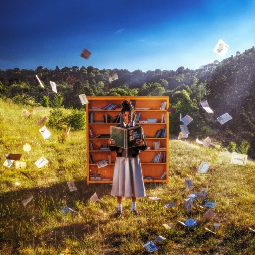 Capa de How To Be Human