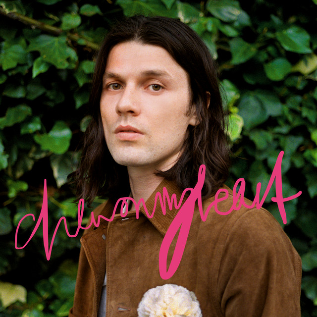 Art for Chew On My Heart by James Bay