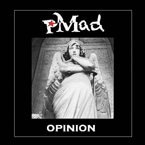 Opinion のアートワーク