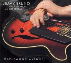 Artwork for Maplewood Avenue