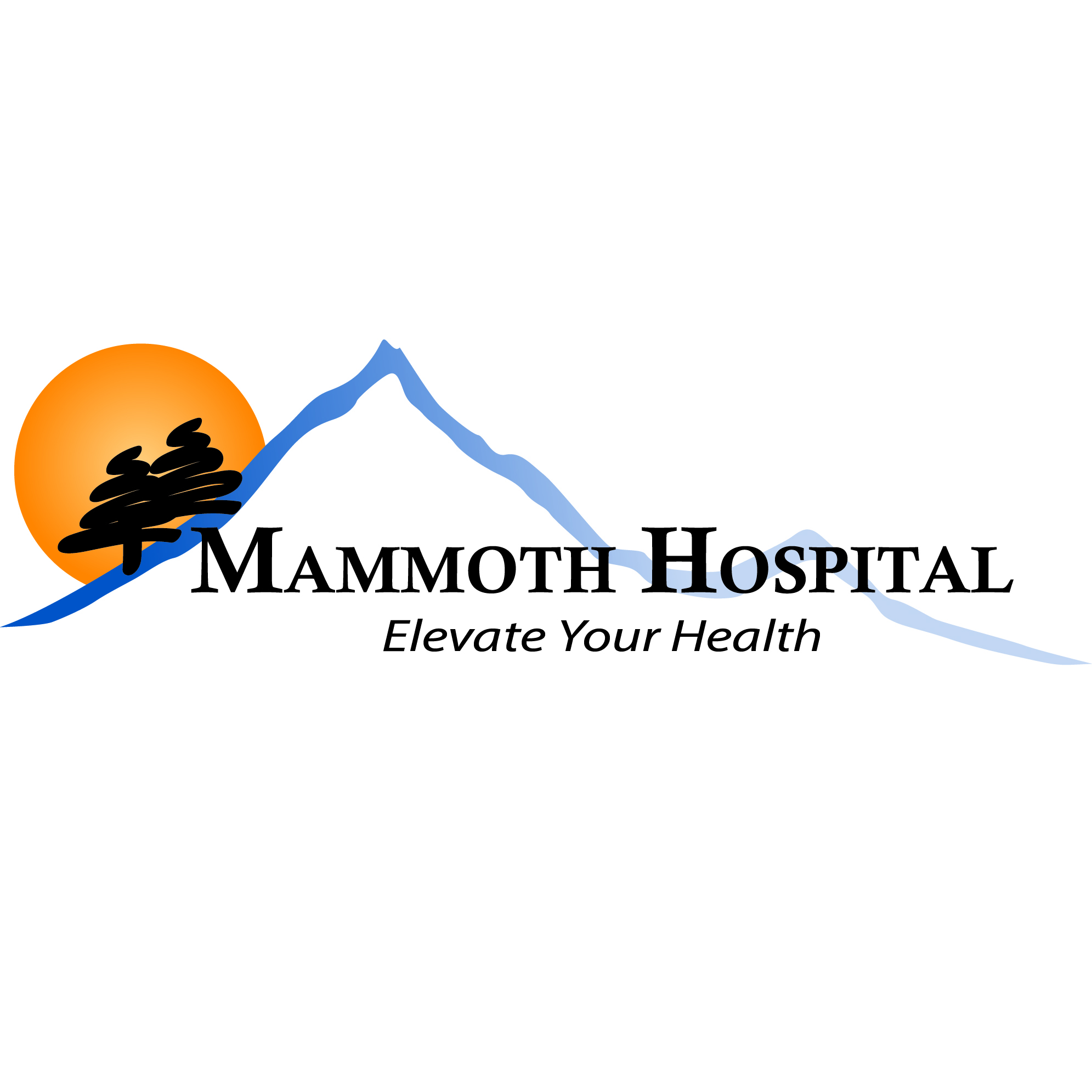 Art for Orthopedics  by Mammoth Hospital