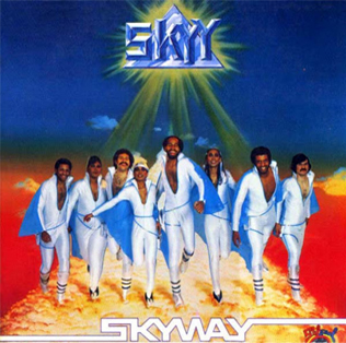 Copertina di SKYYZOO