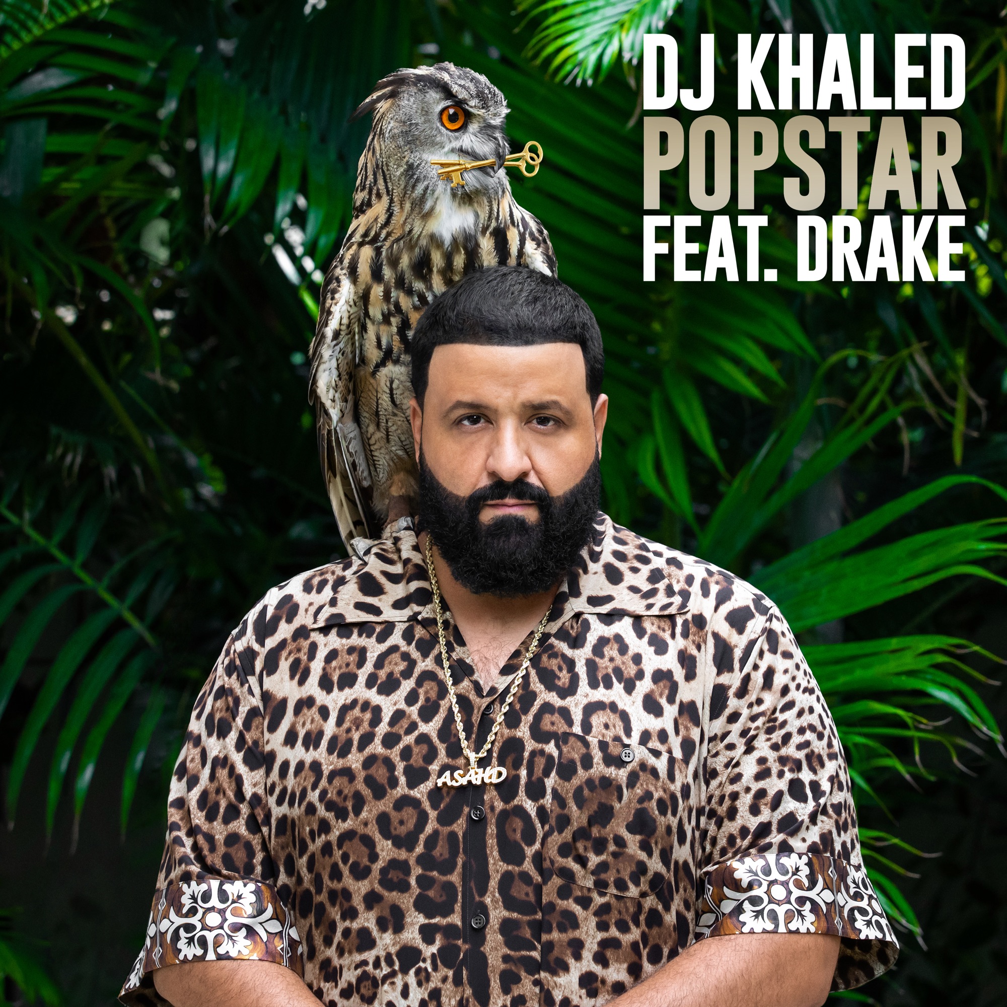 Art for POPSTAR (feat. Drake) by DJ Khaled
