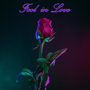 Art for Fool in Love (feat. Mary Dee) [Radio Edit] by Tom Orlando