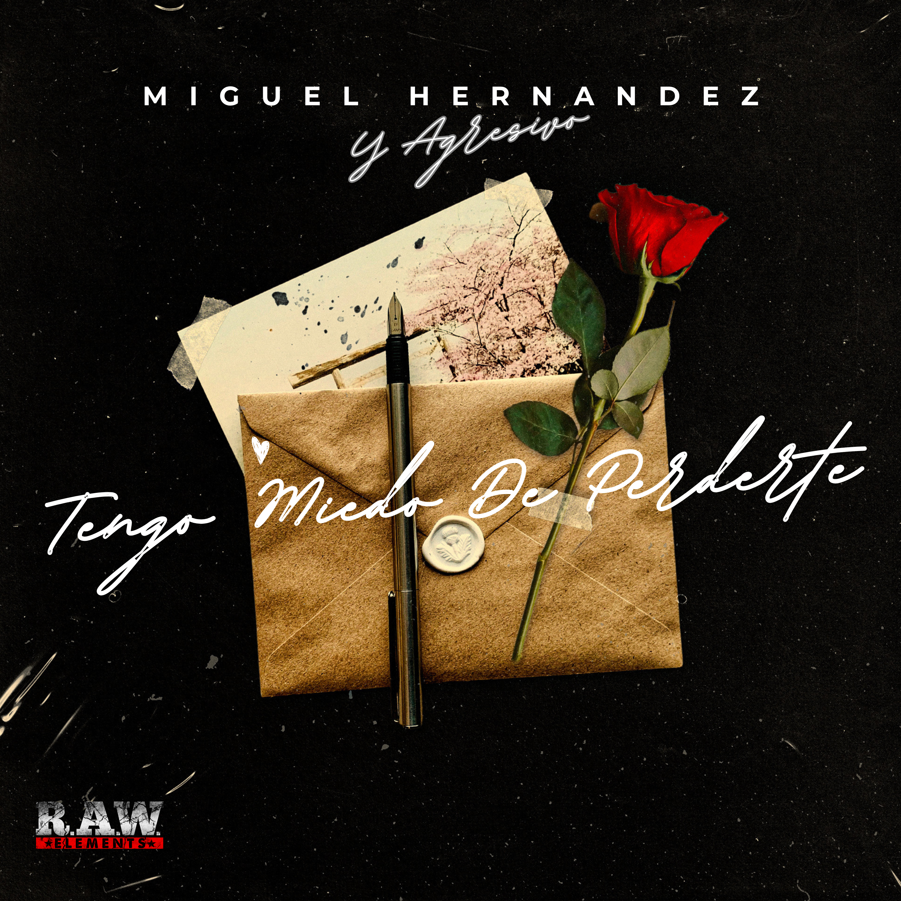 Artwork for Tengo Miedo De Perderte
