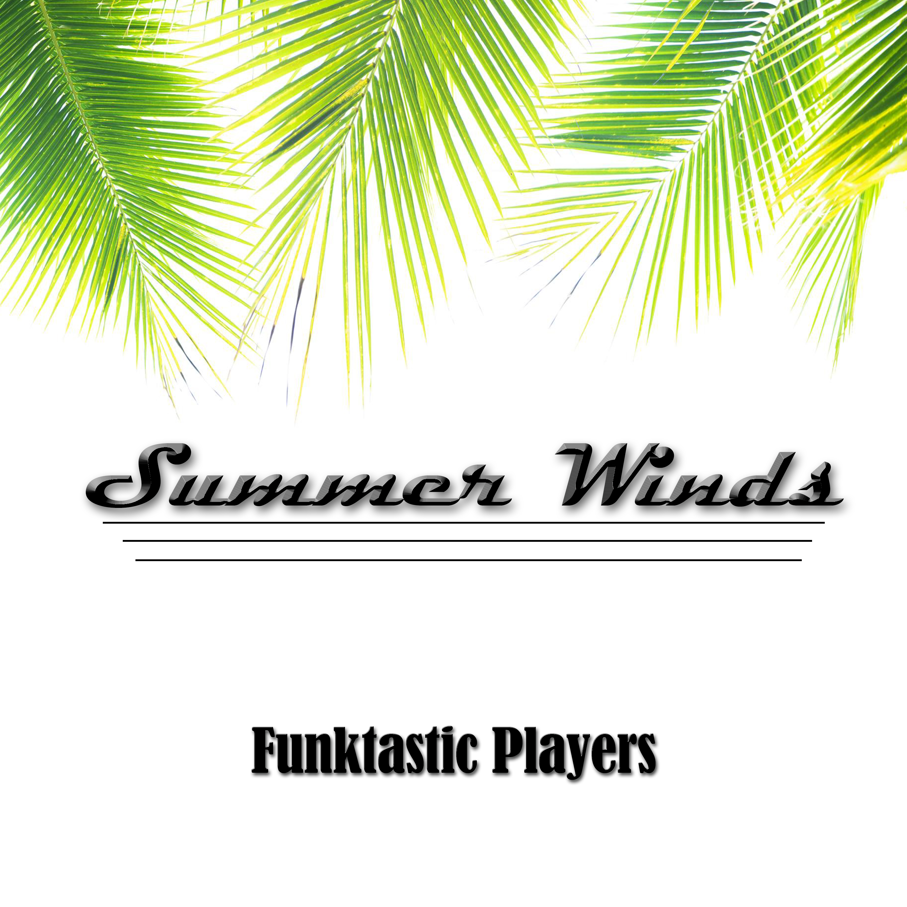Art for Summer Winds by Funktastic Players