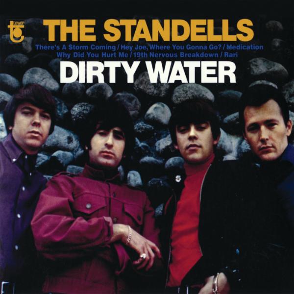 Art for There Is A Storm Comin' by The Standells