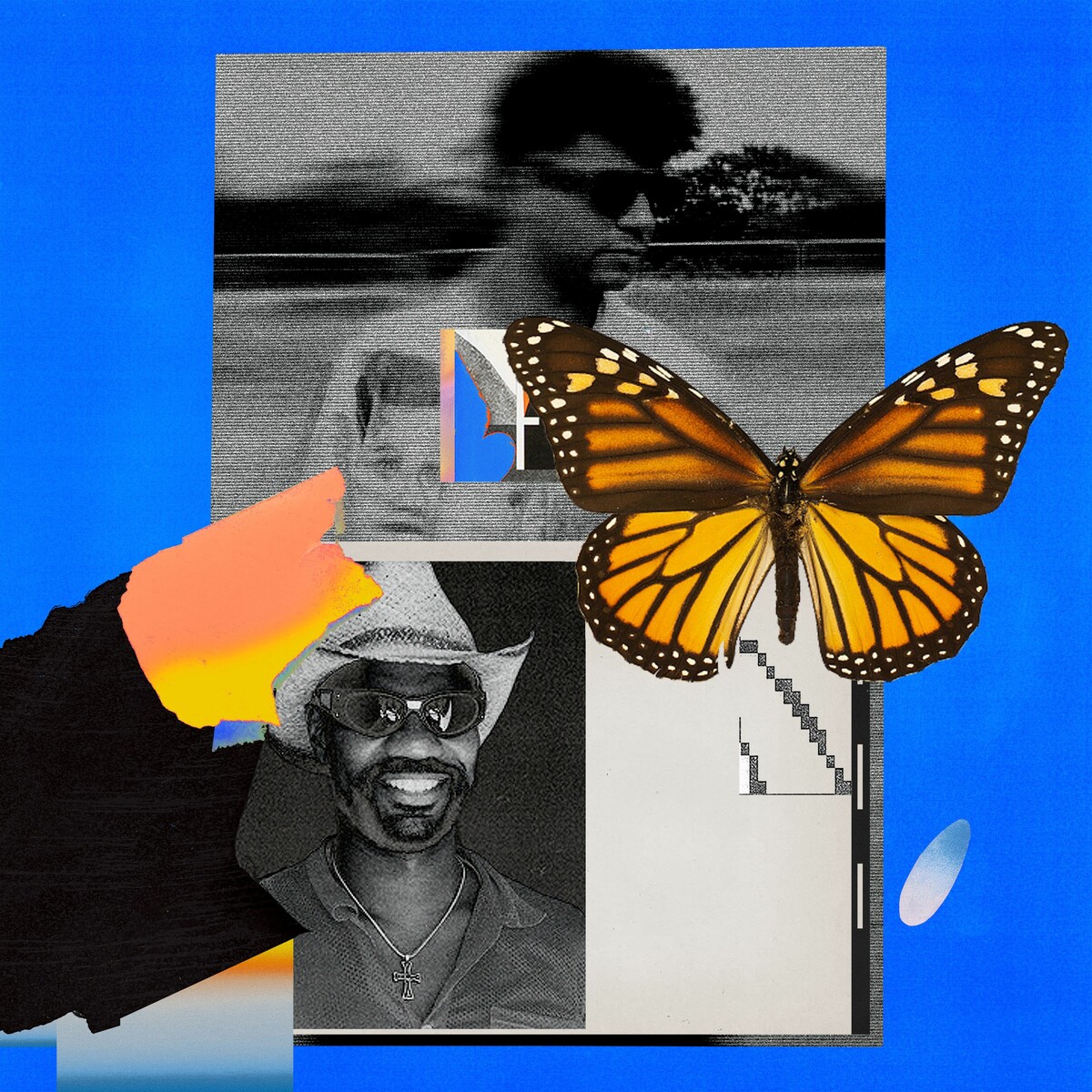 Artwork for BUTTERFLIES
