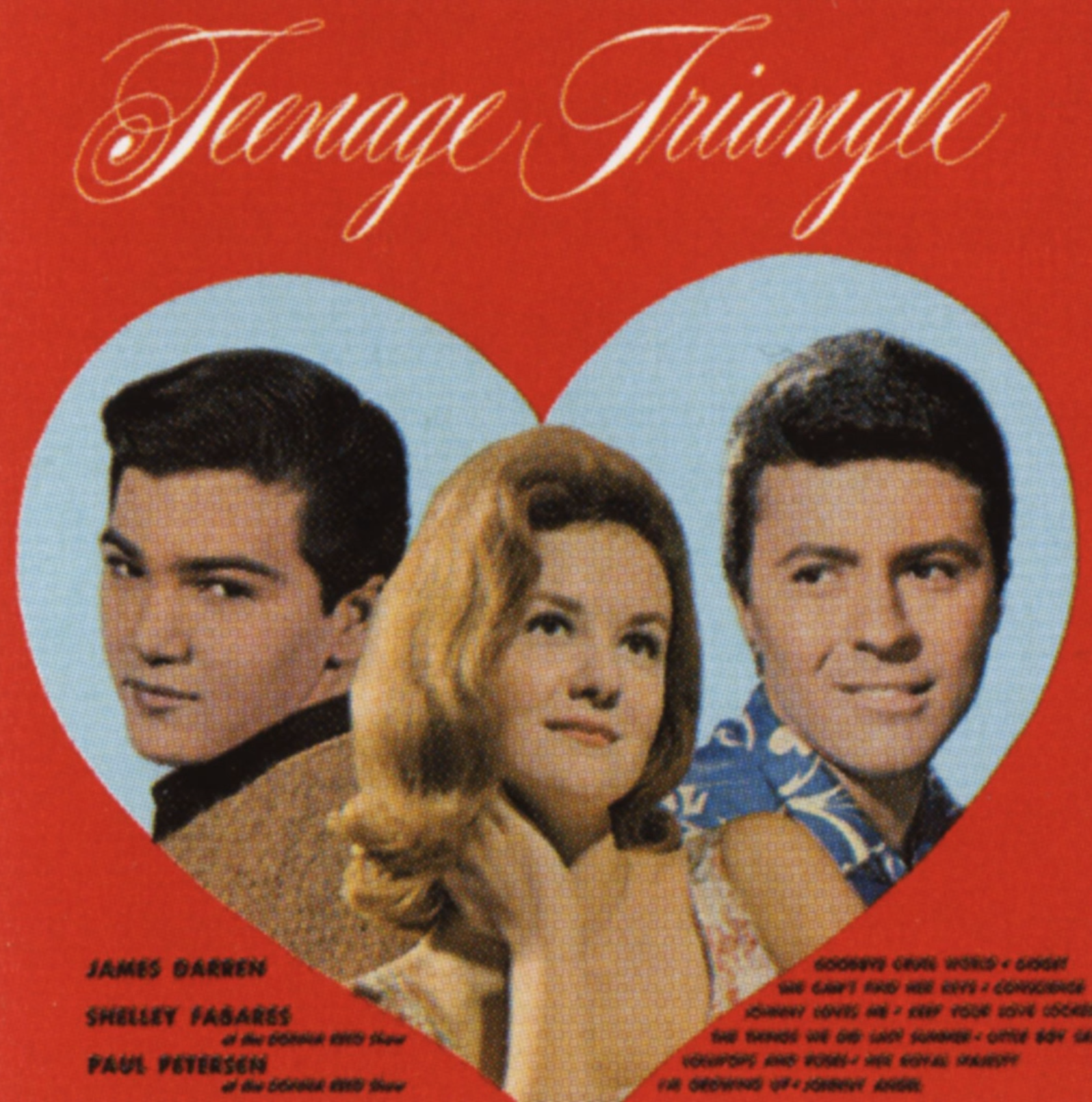 Art for Goodbye Cruel World by James Darren