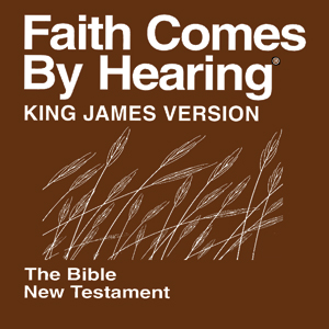 Art for Matthew 27 by Faith Comes By Hearing - FCBH