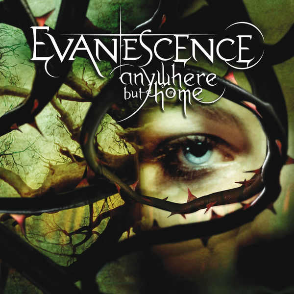 Art for Bring Me To Life (Live) by Evanescence