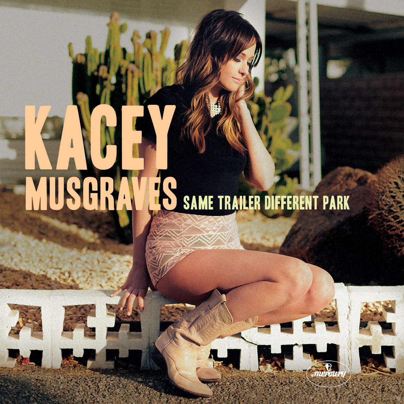 Art for Follow Your Arrow by Kacey Musgraves