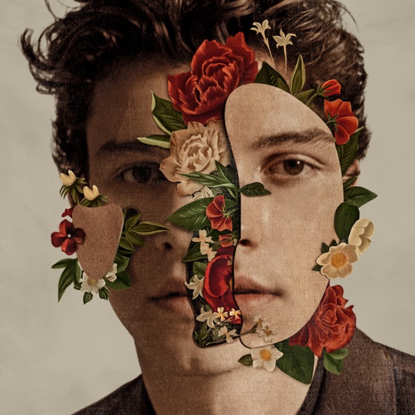 Art for In My Blood by Shawn Mendes