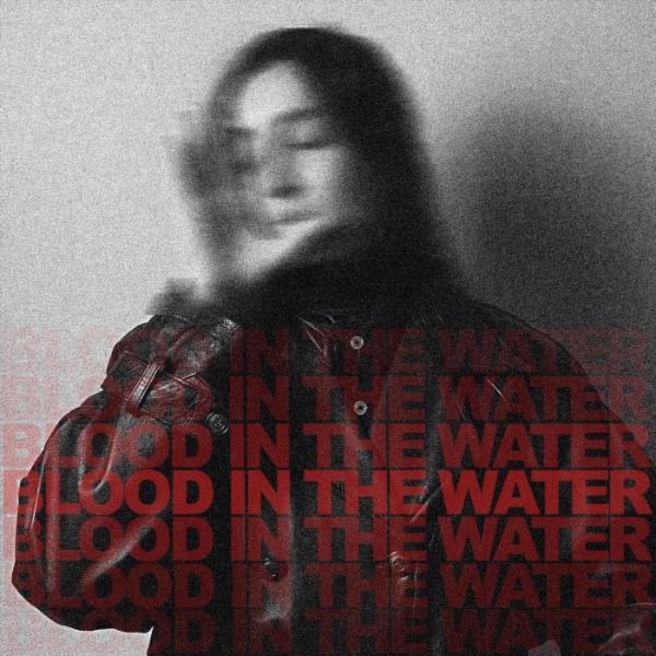 Artwork for Blood In The Water