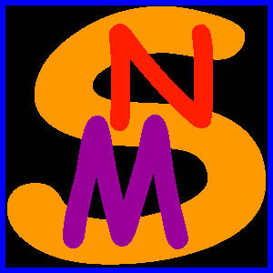 New Millennium Southern logo