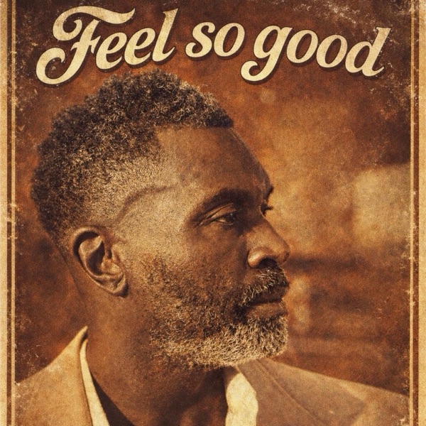 Artwork for Feel So Good