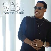 Art for My Favorite Part Of You by Charlie Wilson