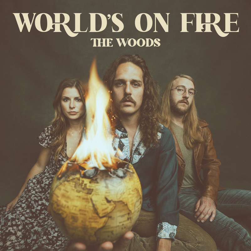 Art for Worlds On Fire by The Woods