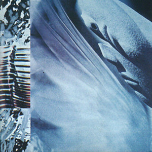 Art for Buffalo by Whipping Boy