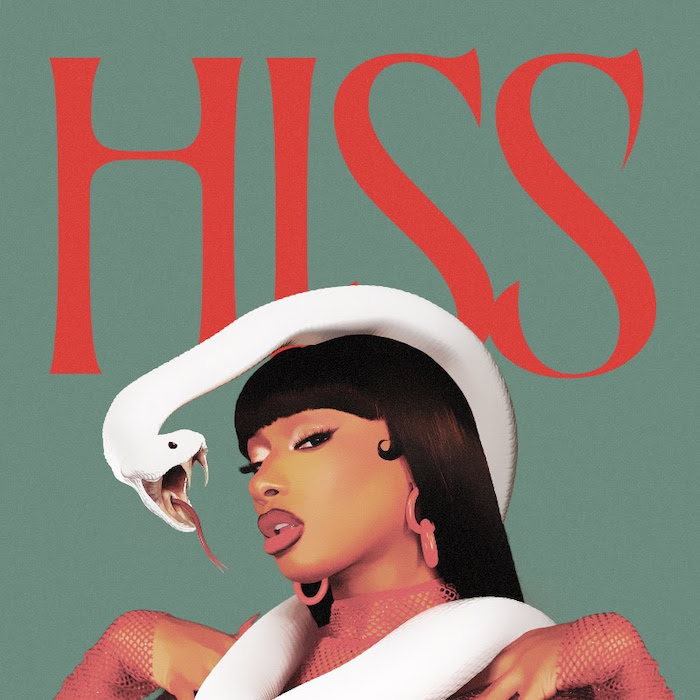 Art for Hiss by Megan Thee Stallion