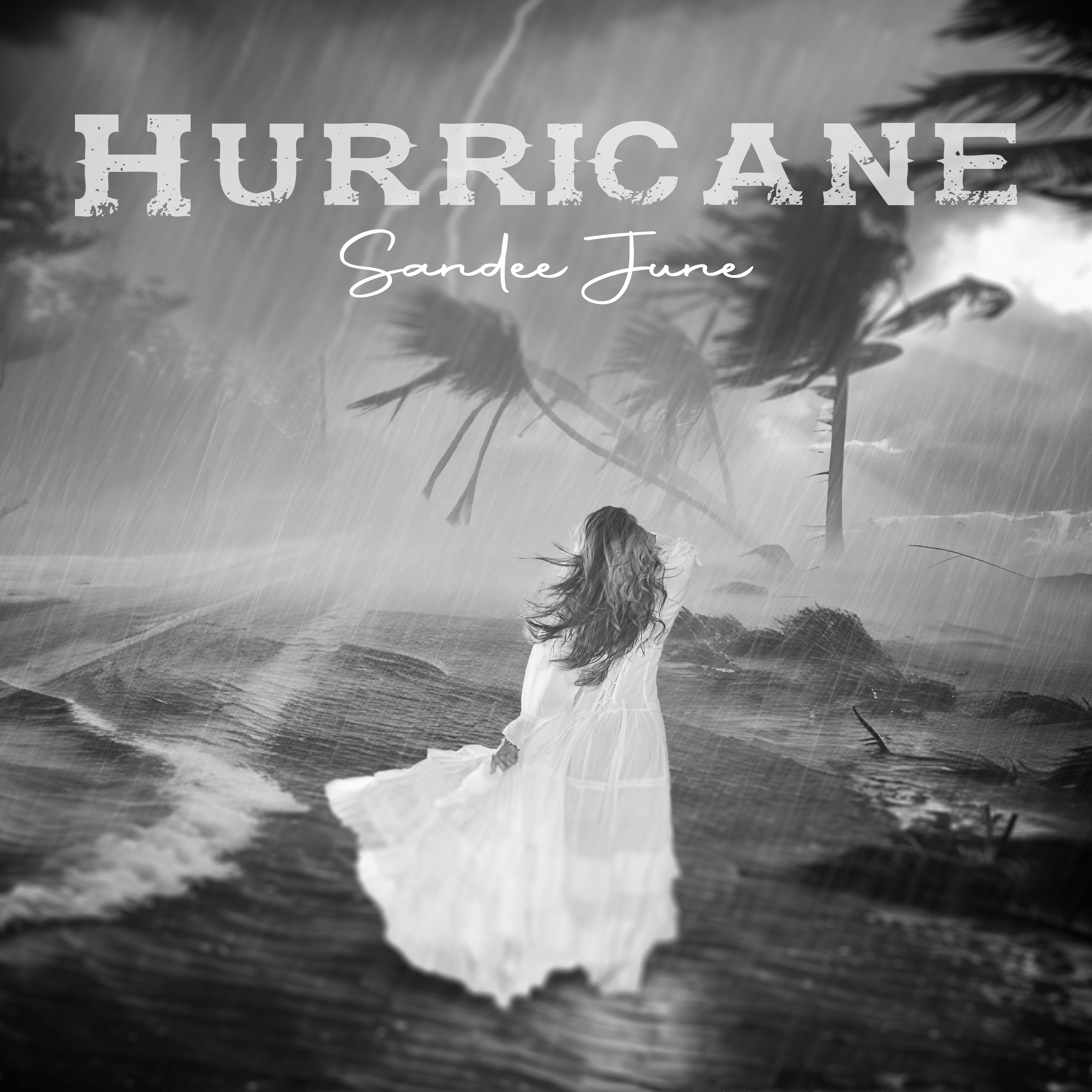 Artwork for Hurricane