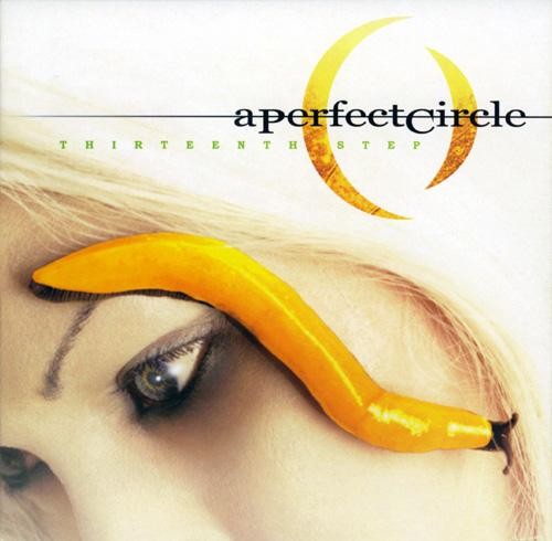 Art for The Outsider by A Perfect Circle