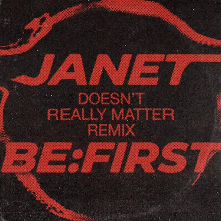 Artwork for Doesn`t Really Matter (Remix) w/ Janet Jackson