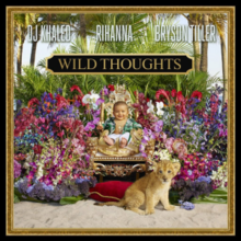 Artwork for Wild Thoughts