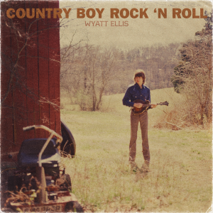 Artwork for Country Boy Rock N Roll