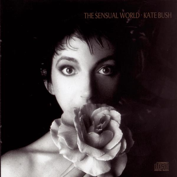 Art for This Woman's Work by Kate Bush
