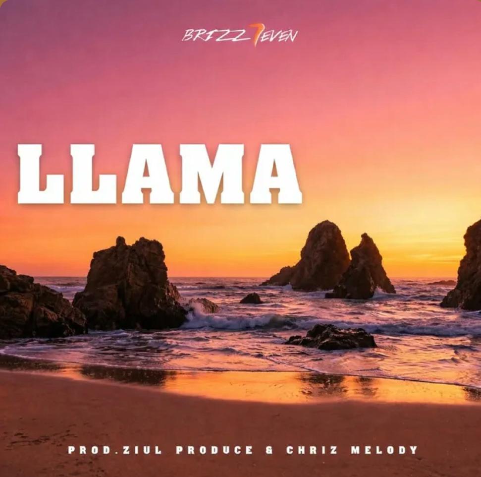 Artwork for LLAMA