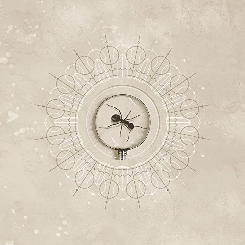 Art for Brighten by Jerry Cantrell