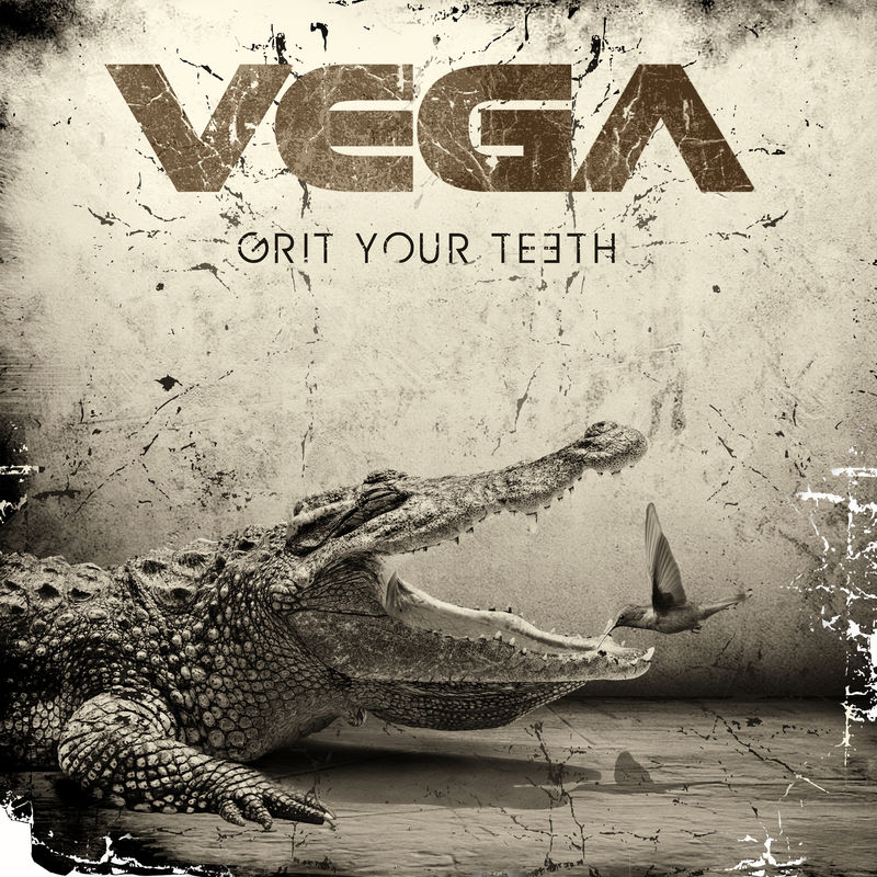 Art for Don't Fool Yourself by Vega