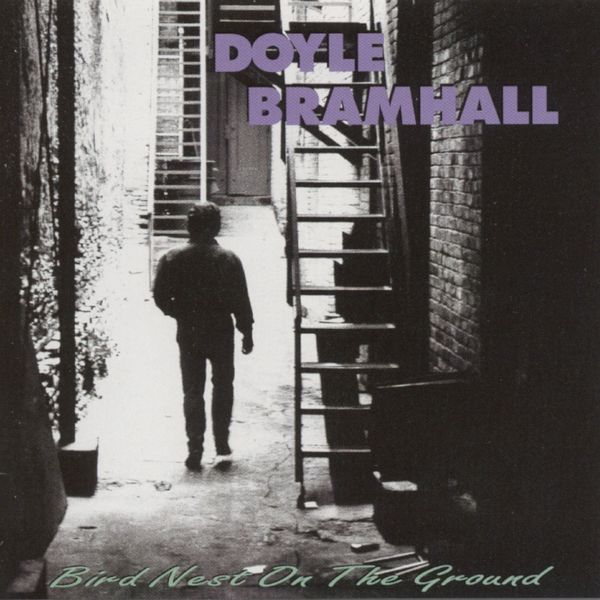 Art for Too Sorry by Doyle Bramhall