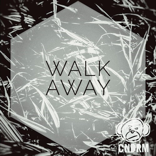 Art for Walk Away (Original Mix) by Cndrm