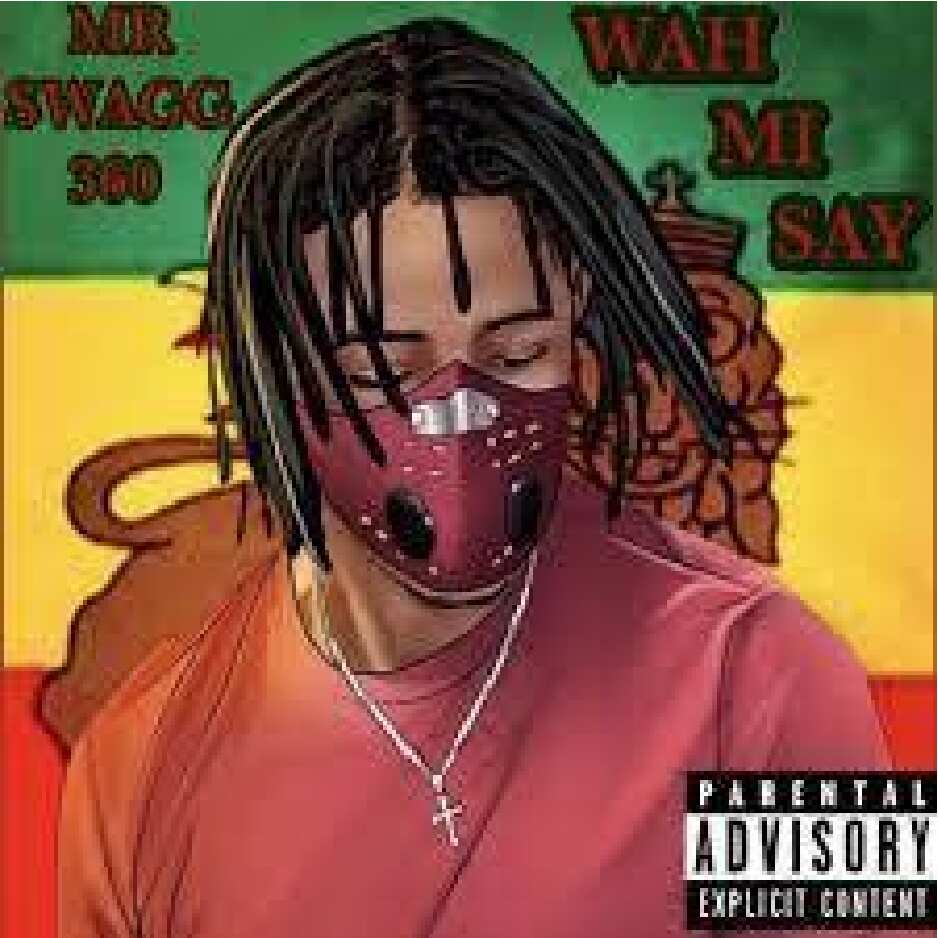 Artwork for what mi say