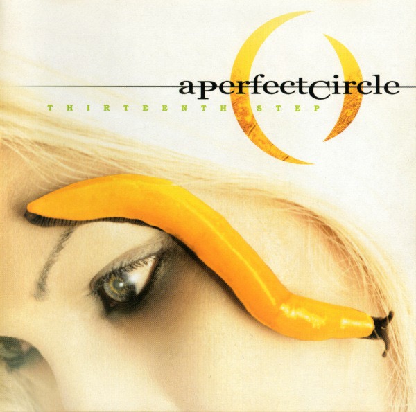 Art for The Outsider by A Perfect Circle
