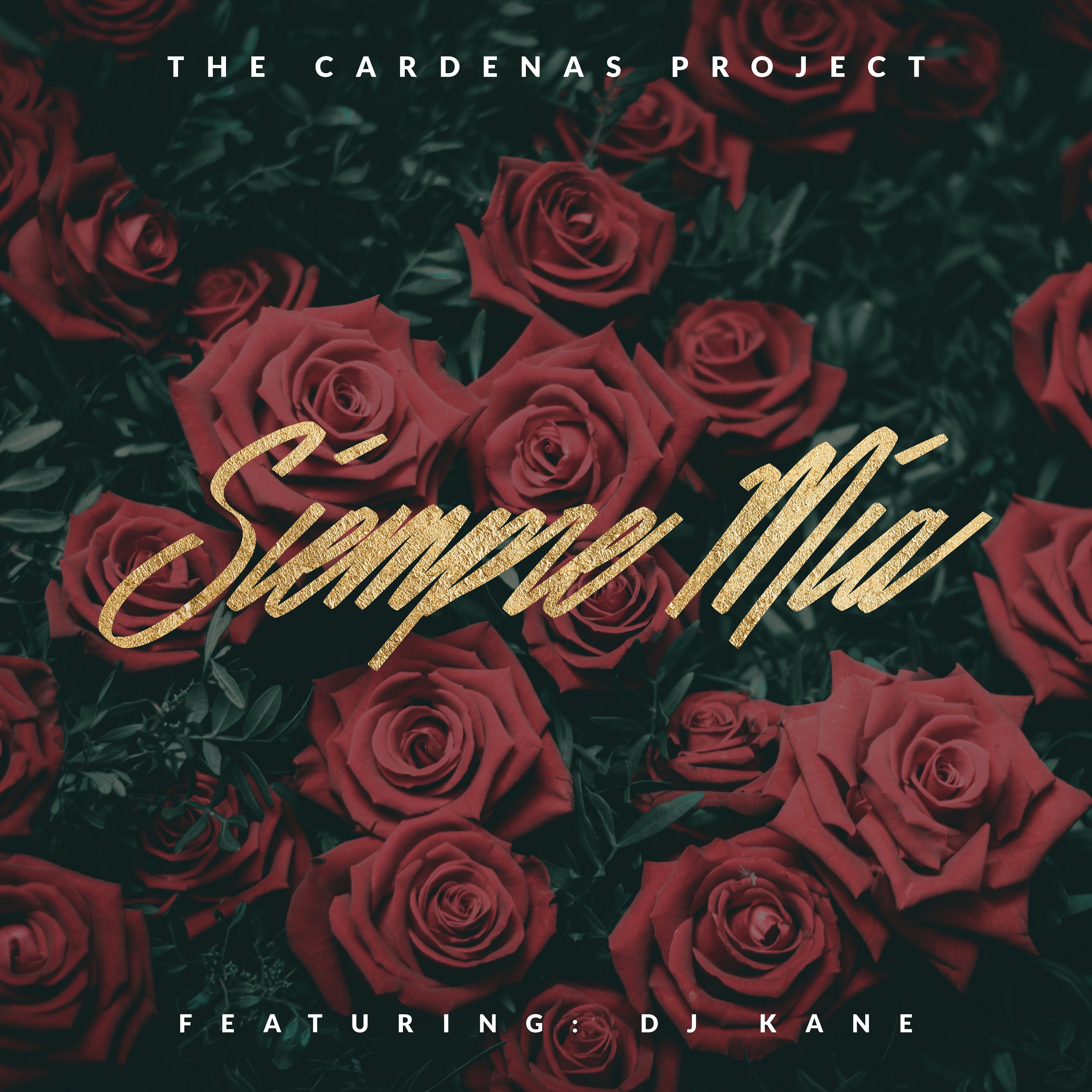 Art for SIEMPRE MIA by THE CARDENAS PROJECT FT. DJ KANE