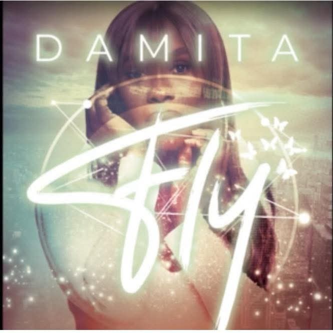 Artwork for Fly