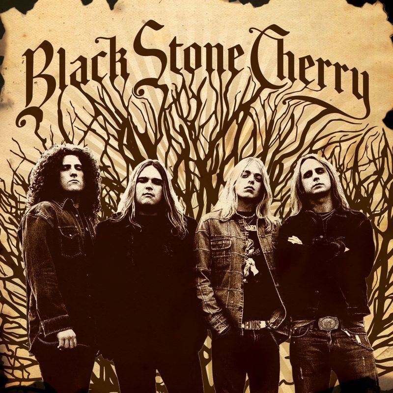 Art for Drive by Black Stone Cherry