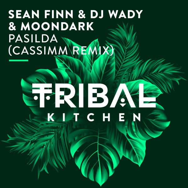 Art for Pasilda (CASSIMM Remix) by Sean Finn, DJ Wady, MoonDark, CASSIMM